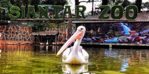 4 Rekomendasi Wisata di Siantar yang Bisa Kamu Kunjungi, Cocok untuk Liburan Saat Akhir Pekan