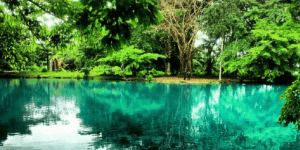 Danau Linting, Wisata Alam Deli Serdang yang Penuh Keunikan dan Cerita Mistis